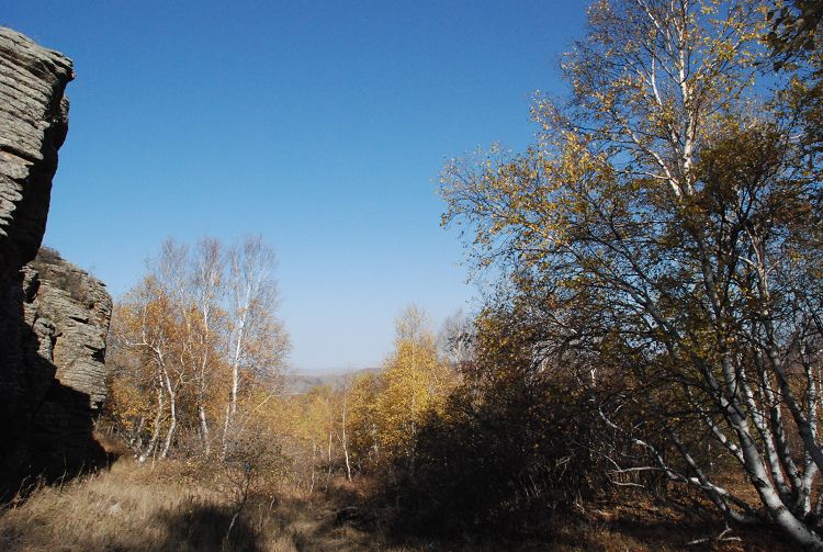 DSC_0174.JPG