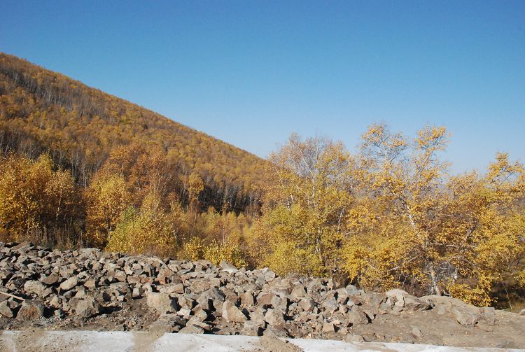 DSC_0143.JPG