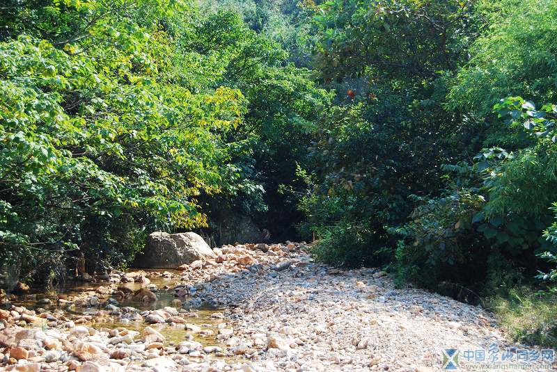 DSC_0281.jpg