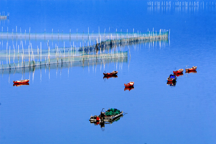 蓝海之魅.jpg