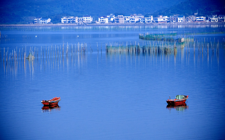 渔村晨景.jpg