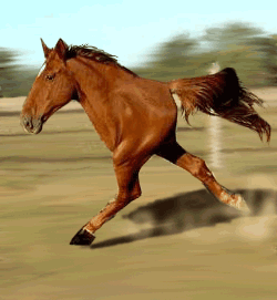 2007791216372885.gif
