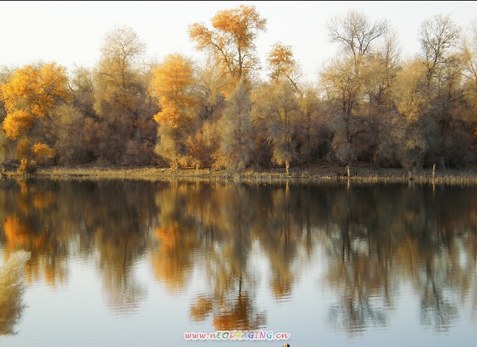 PB030014.jpg