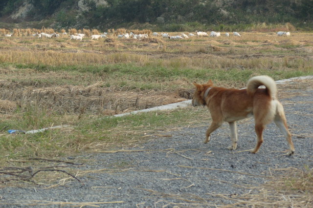 S1051126.JPG