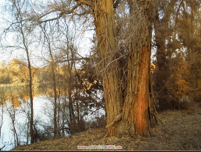 PB030023.jpg