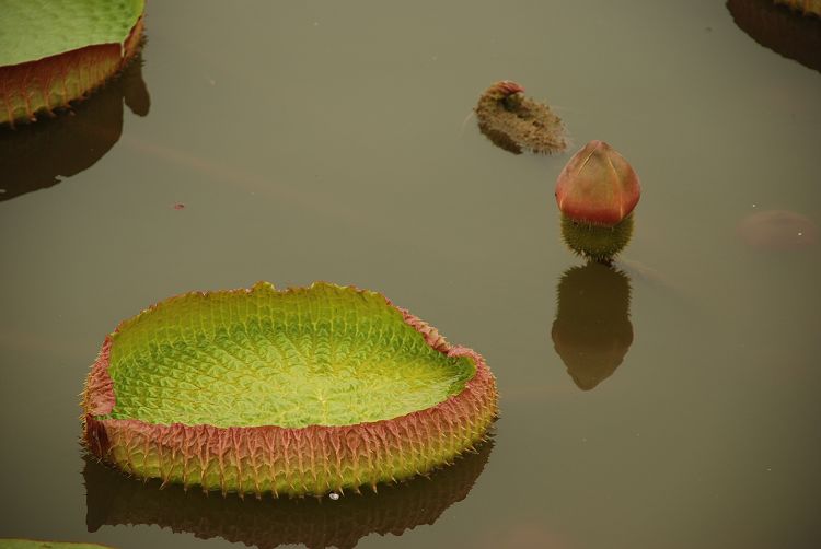 DSC_0585.JPG