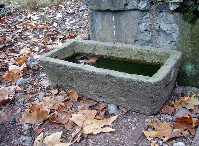 100_1994.jpg