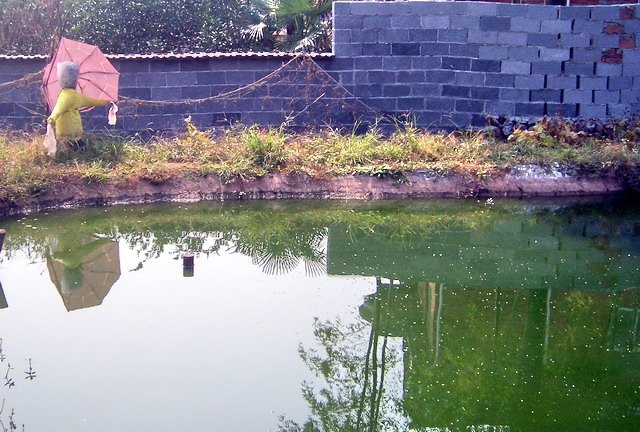 100_2010.jpg