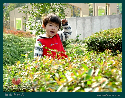 071111树丛1.jpg