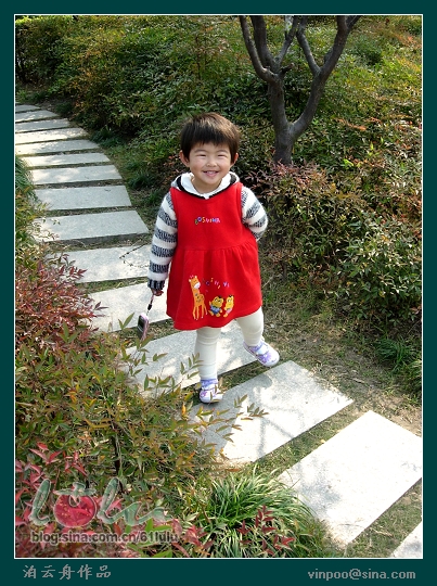 071111树丛4.jpg