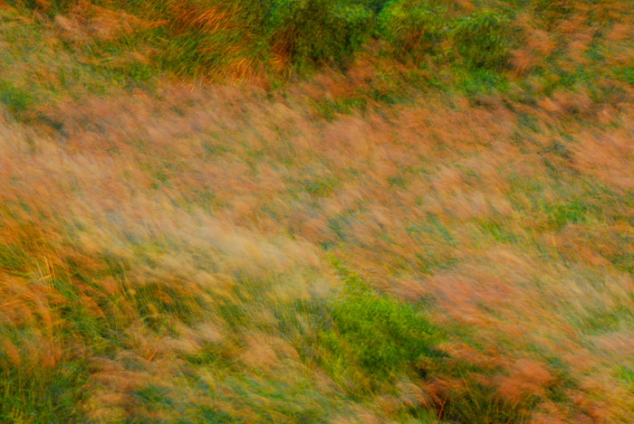 DSC_0029.jpg
