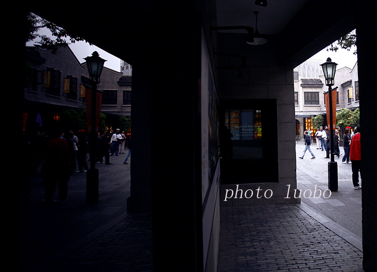 _MG_5331.jpg