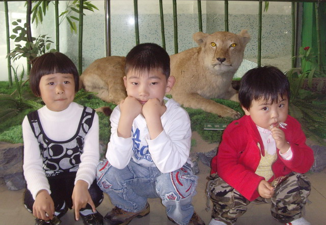 与小伙伴