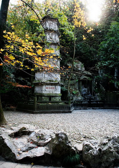 照片 2001.jpg