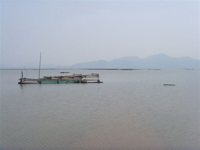 家乡的小竹伐2.jpg