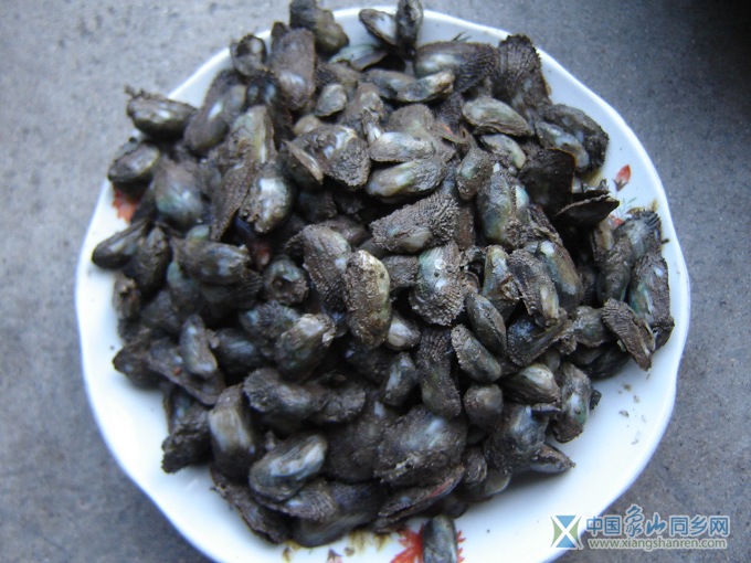 生榛.jpg