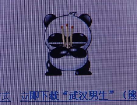 熊猫烧香.jpg
