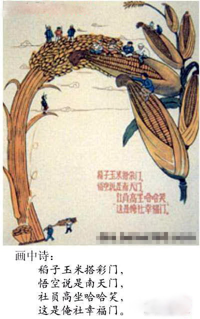 水   稻