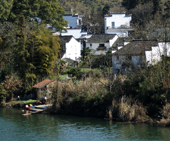 DSC_5413.jpg