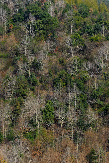 DSC_0544.jpg