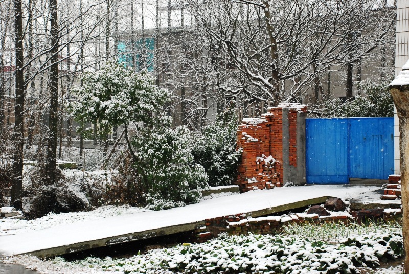 DSC_0551.JPG