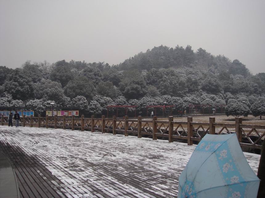 雨雪的天气