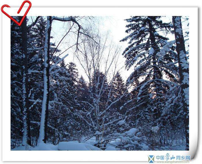 天然雪景8.jpg