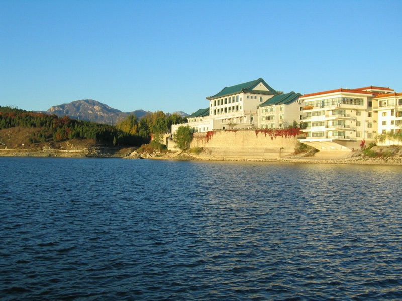 IMG_6446--.JPG