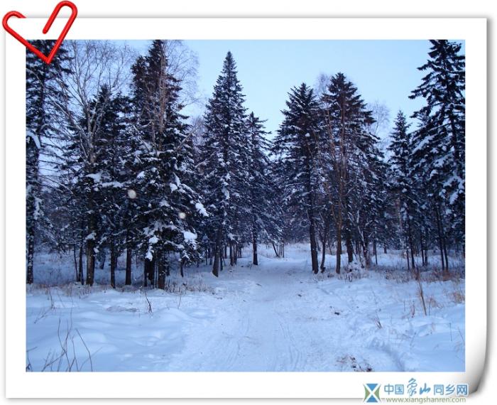 天然雪景7.jpg