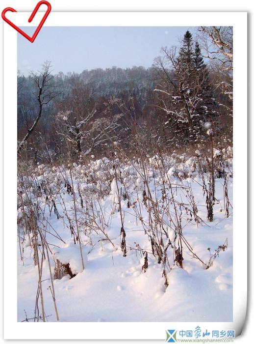 天然雪景13.jpg