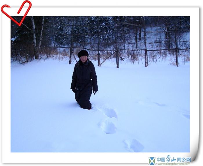 踏雪.....jpg