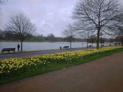 海德公园 (Hyde Park).bmp