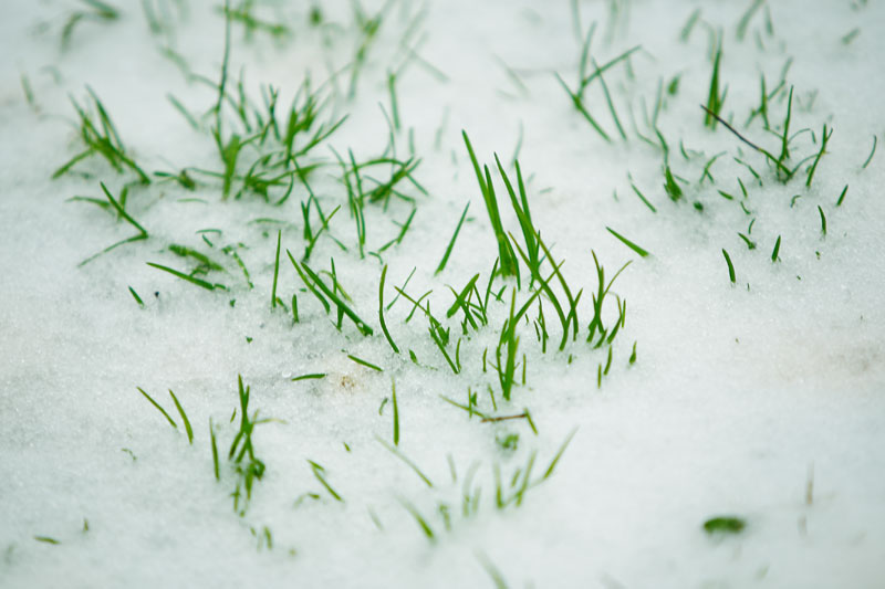 阳春白雪