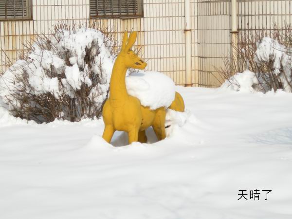 天晴了.jpg