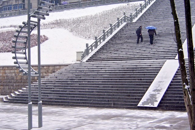 踏雪归