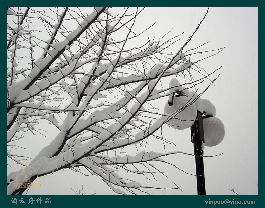 080202雪景09.jpg