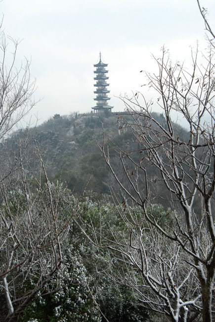 DSC_1653.jpg