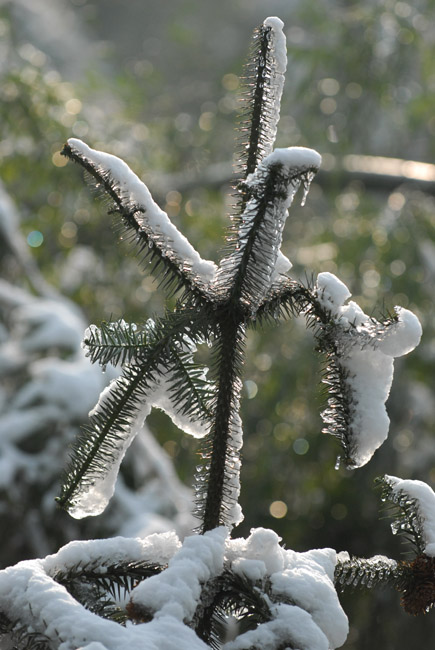 DSC_1729.jpg