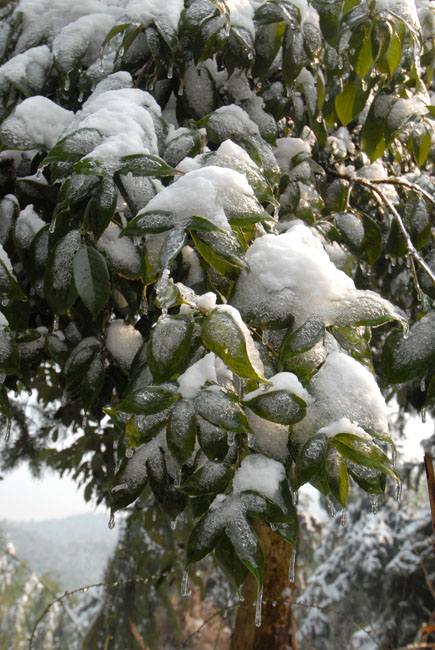 DSC_1715.jpg