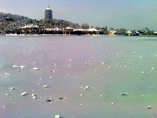 2118812_820966.jpg