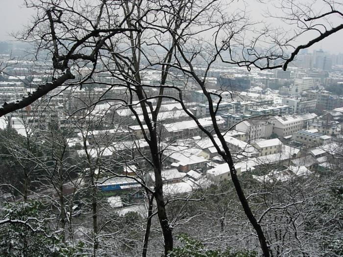 DSCN7308.JPG