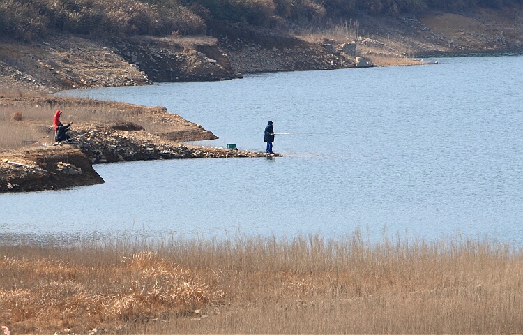 DPP_0001.jpg