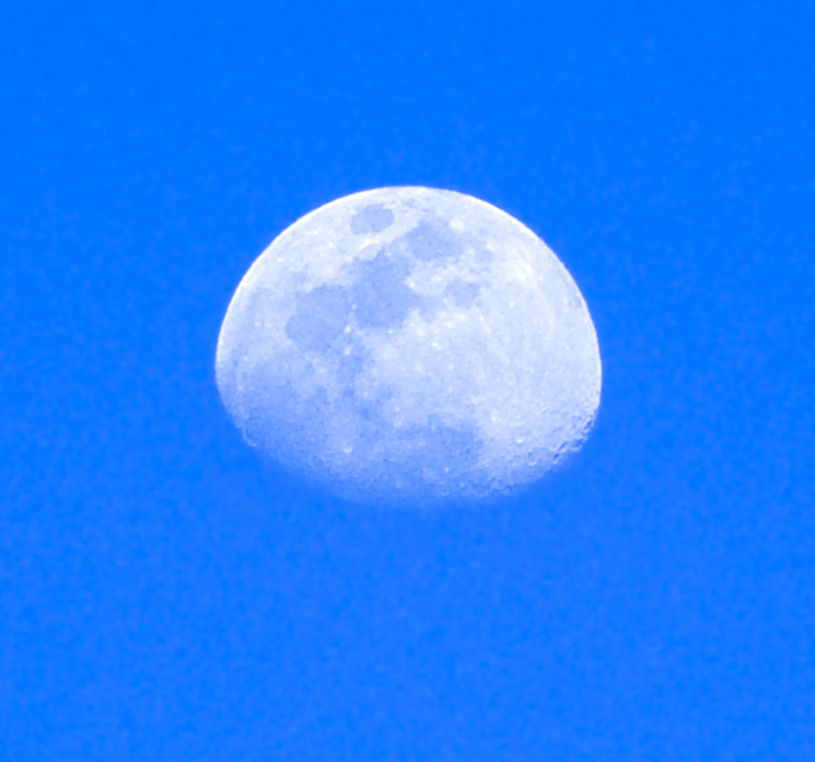 PICT0653.jpg