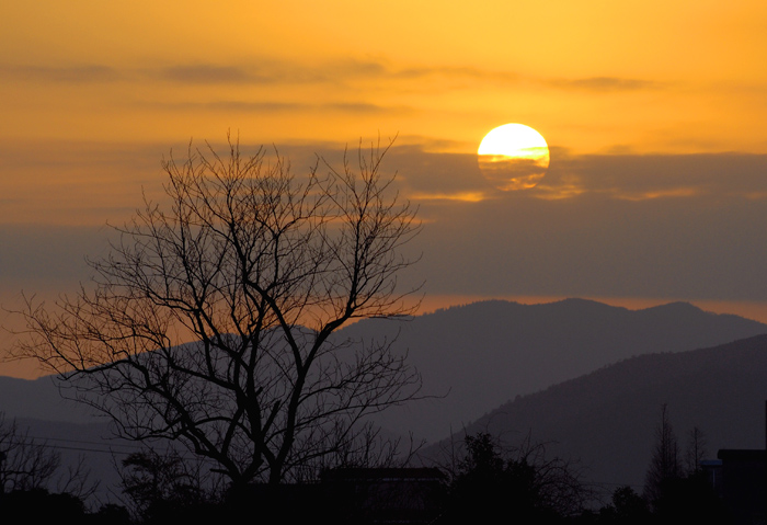 DSC_2889.jpg