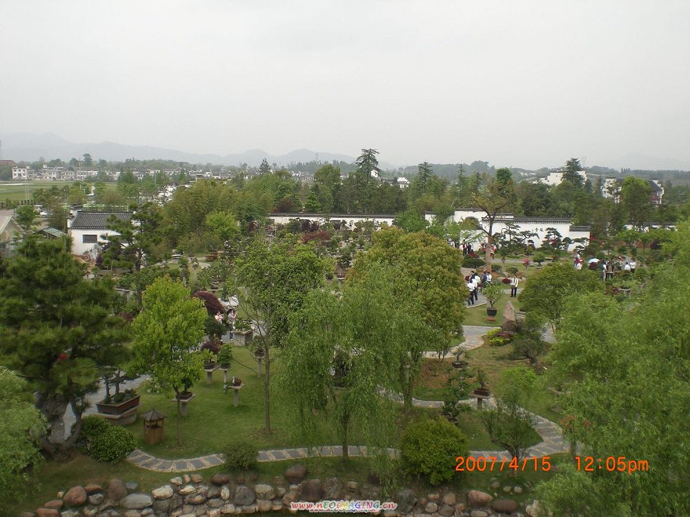 鲍家花园鸟瞰.JPG