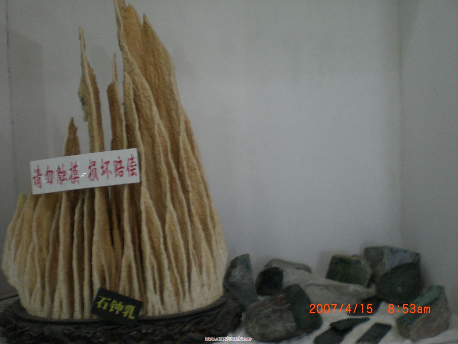 参观4.JPG