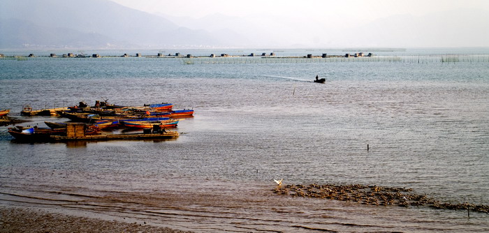 PICT0869.jpg