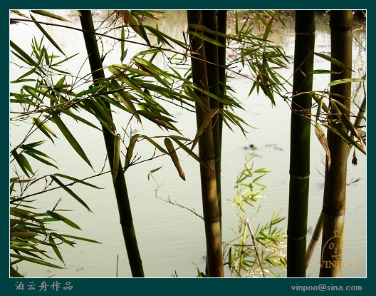 德清下渚湖09.jpg
