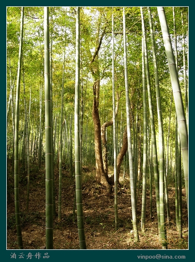 德清下渚湖23.jpg