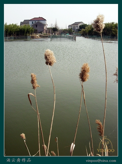 德清下渚湖18.jpg